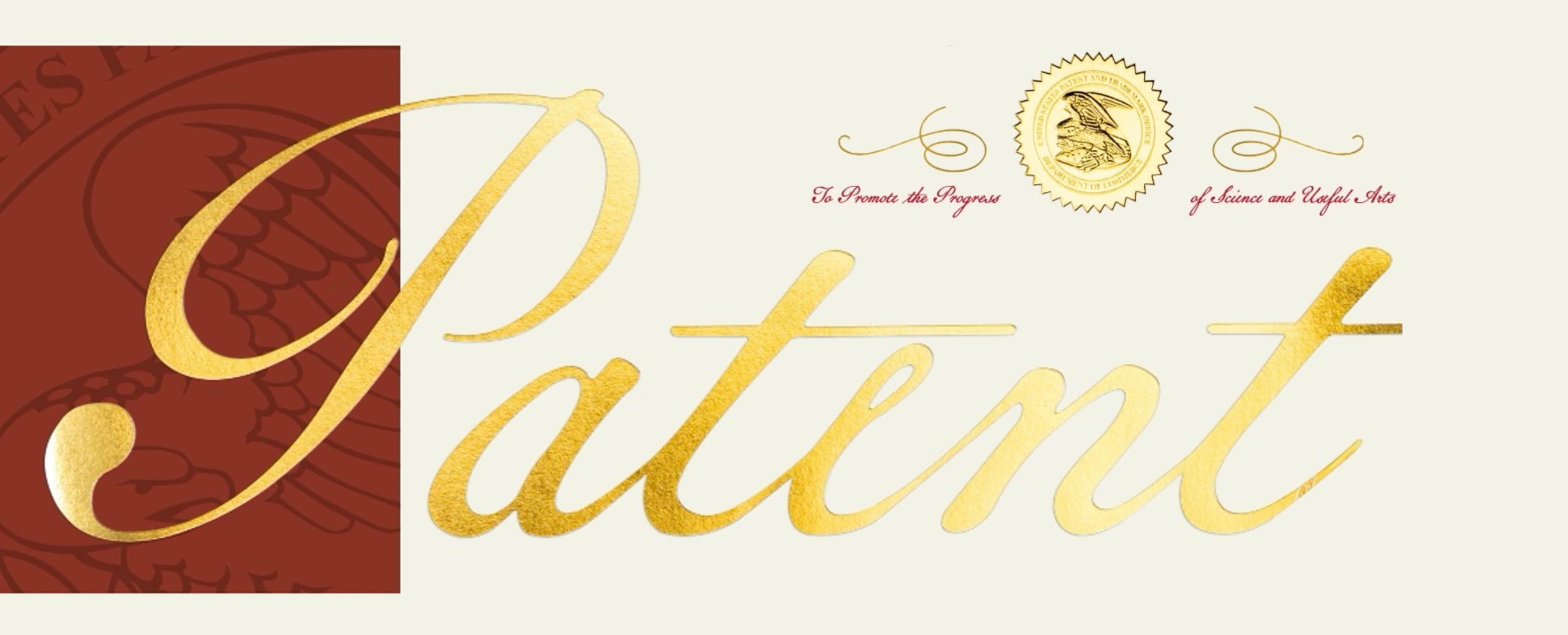 2 Granted USPTO Patents